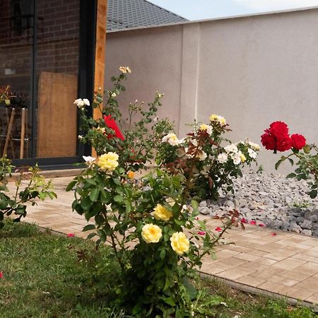 Casa Lucan Braşov Eksteriør bilde